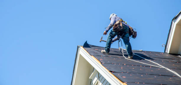 Best Roof Leak Repair  in Seaville, NJ